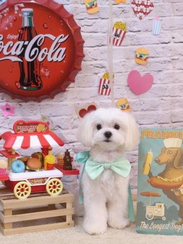 20230929ココくん